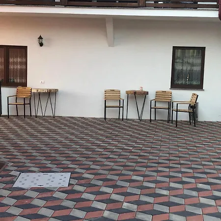 Hotel Pensiunea Trei Lalele Moisei