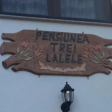 Pensiunea Trei Lalele Hotel Moisei