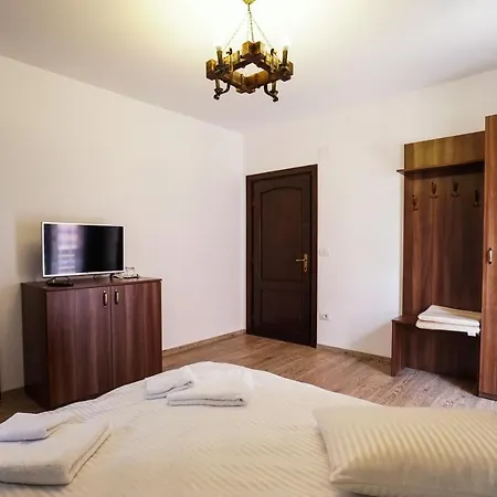 Pensiunea Trei Lalele Hotell Moisei