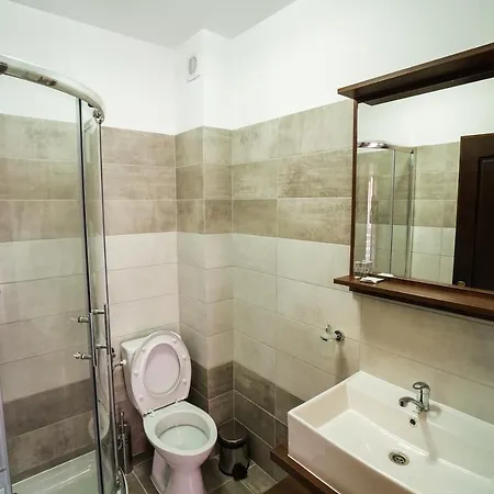 Pensiunea Trei Lalele Hotell Moisei