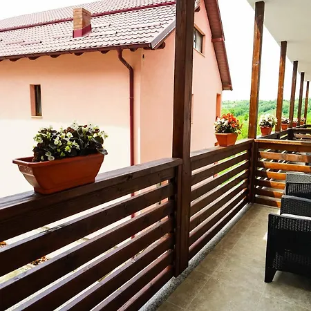 Hotell Pensiunea Trei Lalele