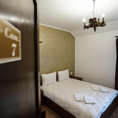 Hotel Pensiunea Trei Lalele Moisei