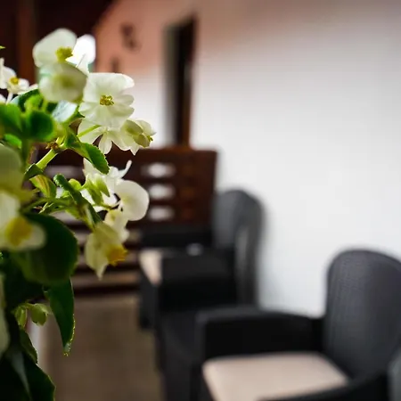 Pensiunea Trei Lalele Hotell