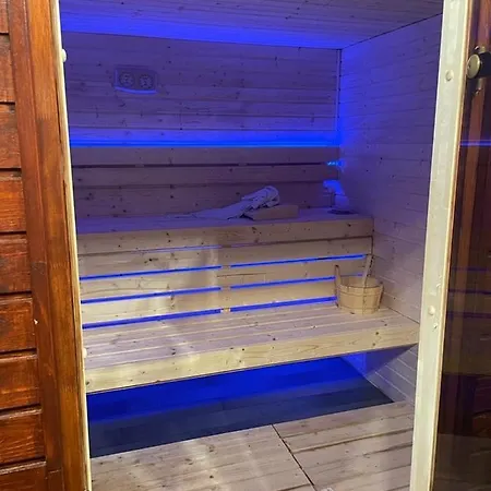 Pensiunea Trei Lalele Hotell Moisei